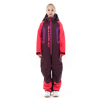 Зимний утепленный комбинезон GRAVITY for Teen Purple - Brown 2024 
